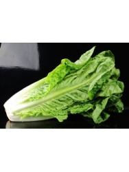 11175